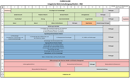 Curriculum integrierter Reformstudiengang Medizin - iRM